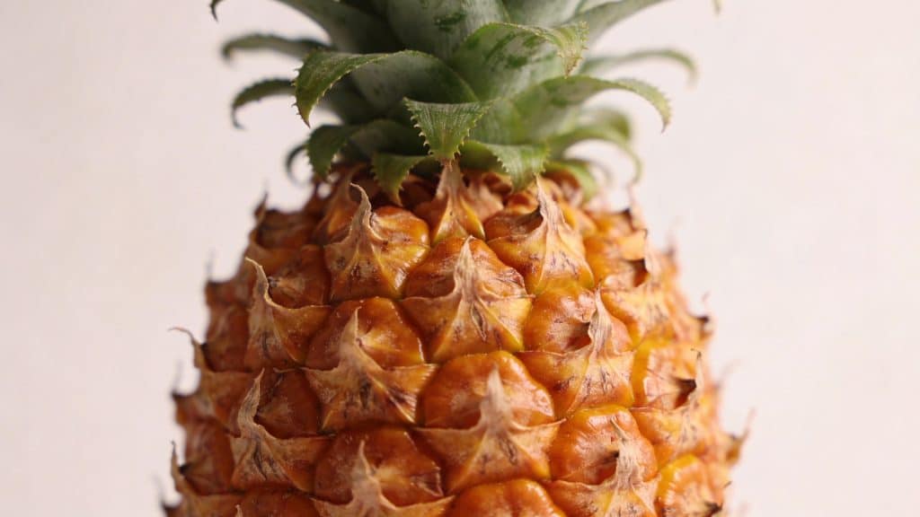 Ananas (Ananas comosus) - Plant care guide
