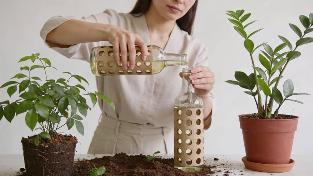 Femme remplissant des bouteilles percees pres de plantes