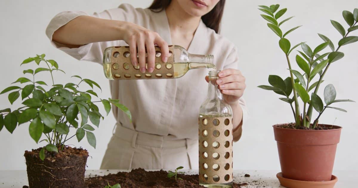 Femme remplissant des bouteilles percees pres de plantes