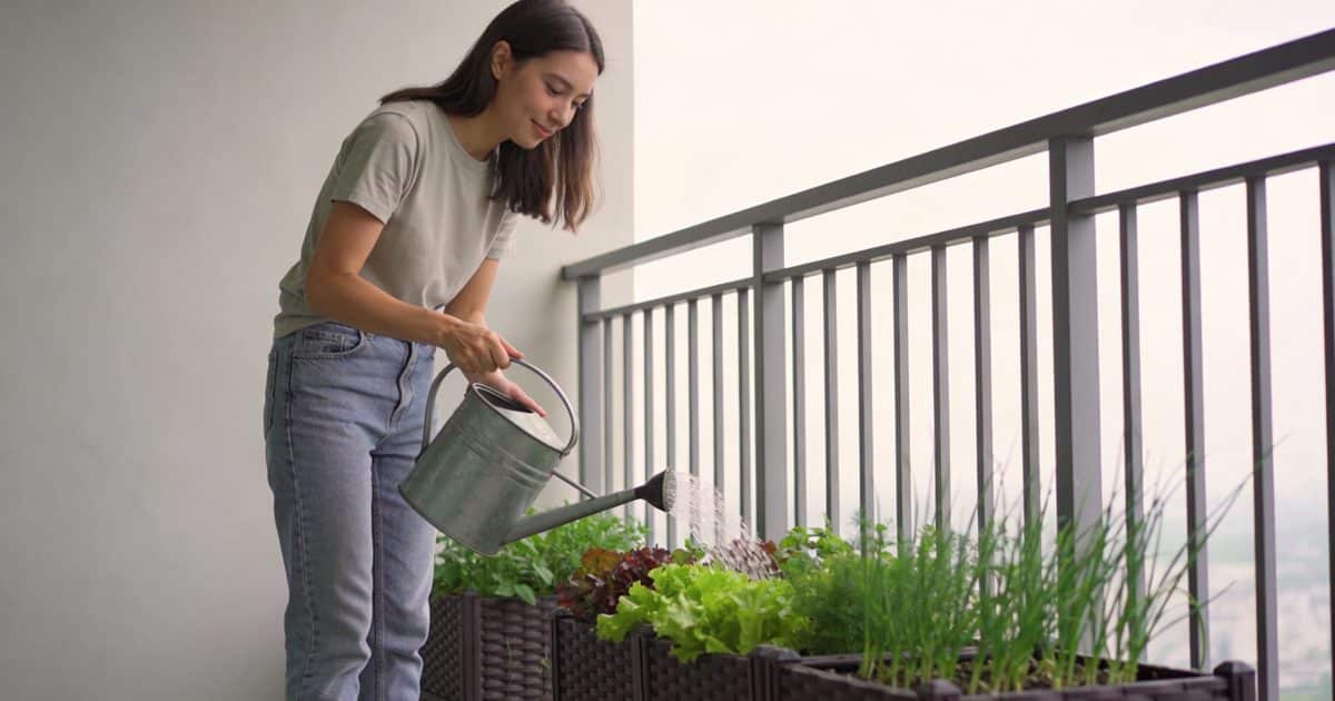 Jeune femme arrosant des bacs de legumes sur balcon