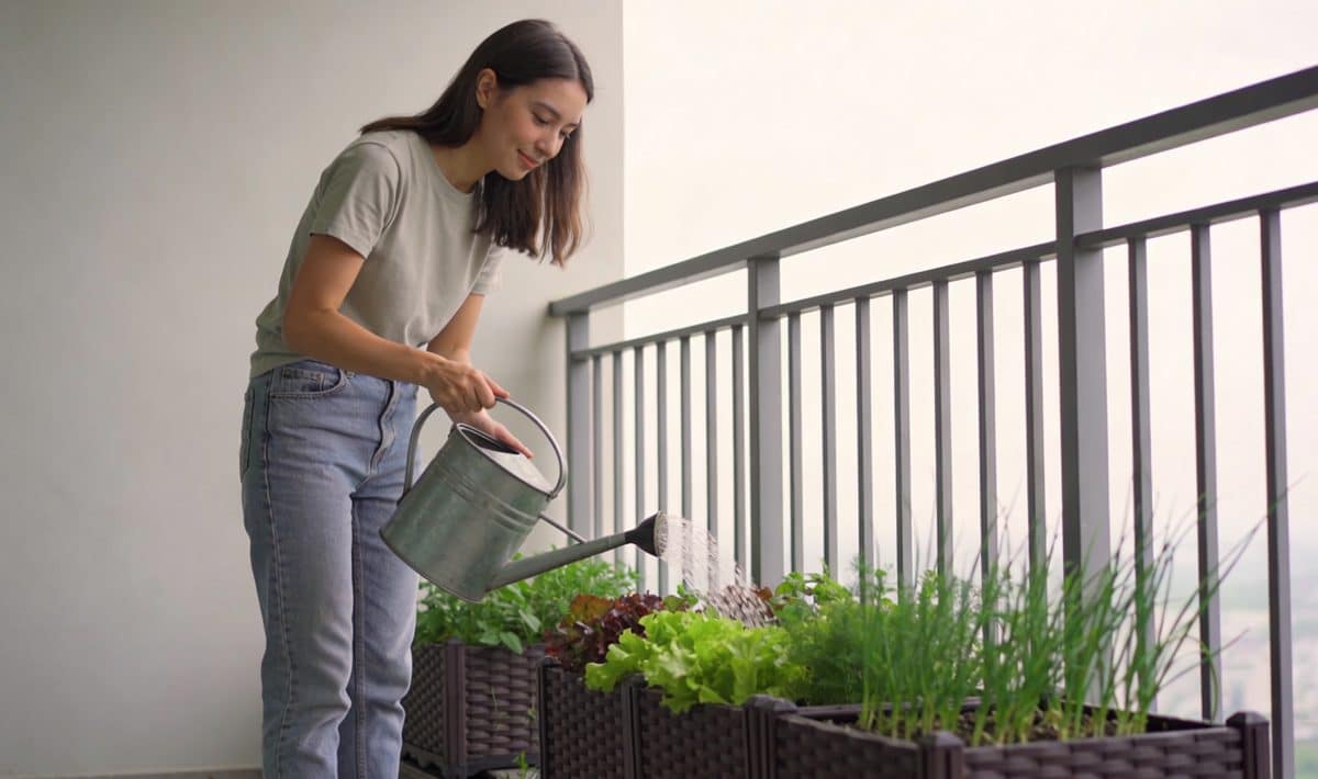 Jeune femme arrosant des bacs de legumes sur balcon