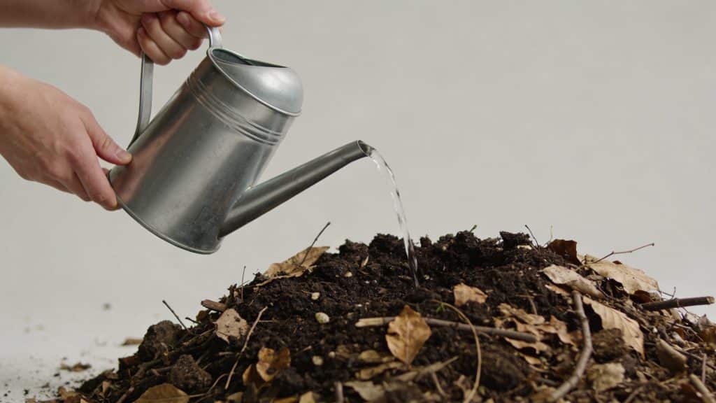 Mains tenant un arrosoir vers un compost de jardin