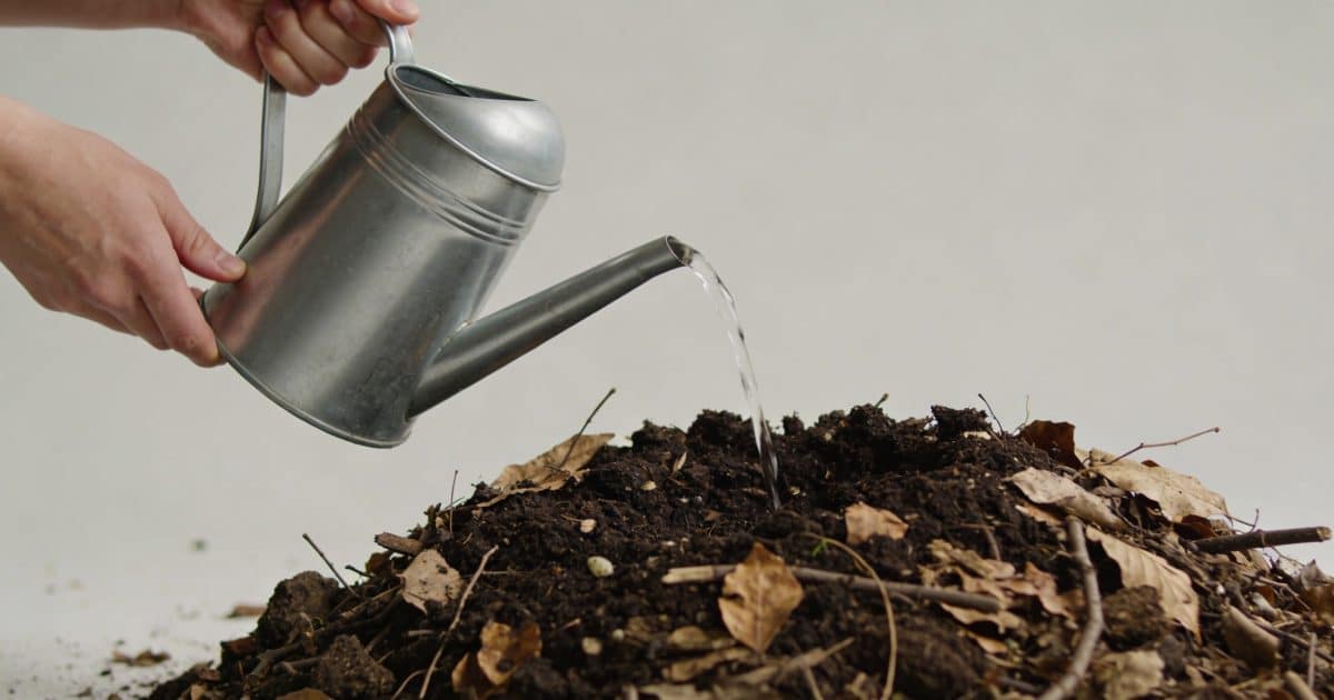 Mains tenant un arrosoir vers un compost de jardin