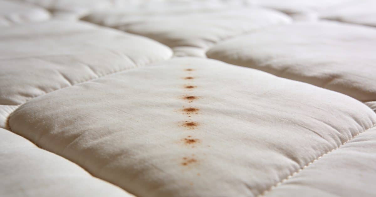 matelas clair avec petites taches brunes alignees
