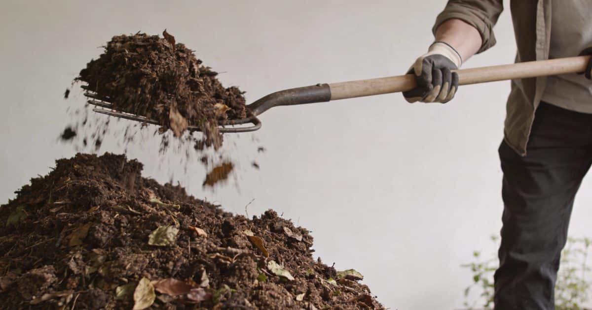 Personne retournant un tas de compost de jardin