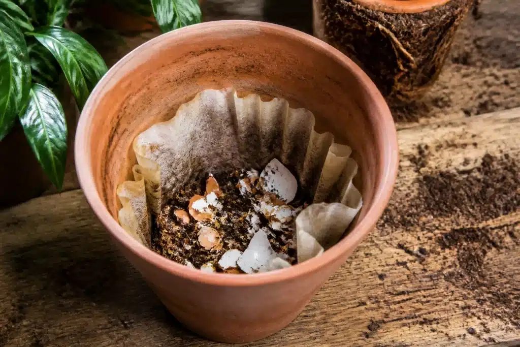 Pot avec filtre cafe et coquilles oeufs drainage