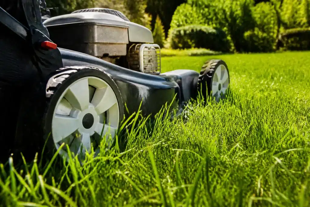 Tondeuse affichant hauteur coupe herbe verte ensoleillée