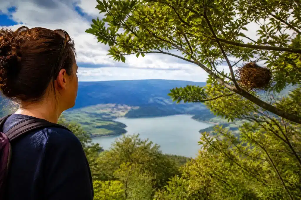 Personne observant nid d'oiseaux branche distance sécurité