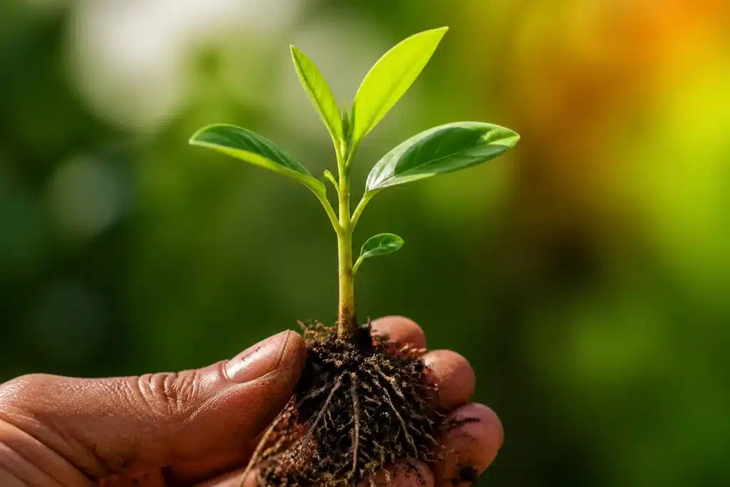 Jeunes feuilles vertes emergent d'une tige avec racines visibles