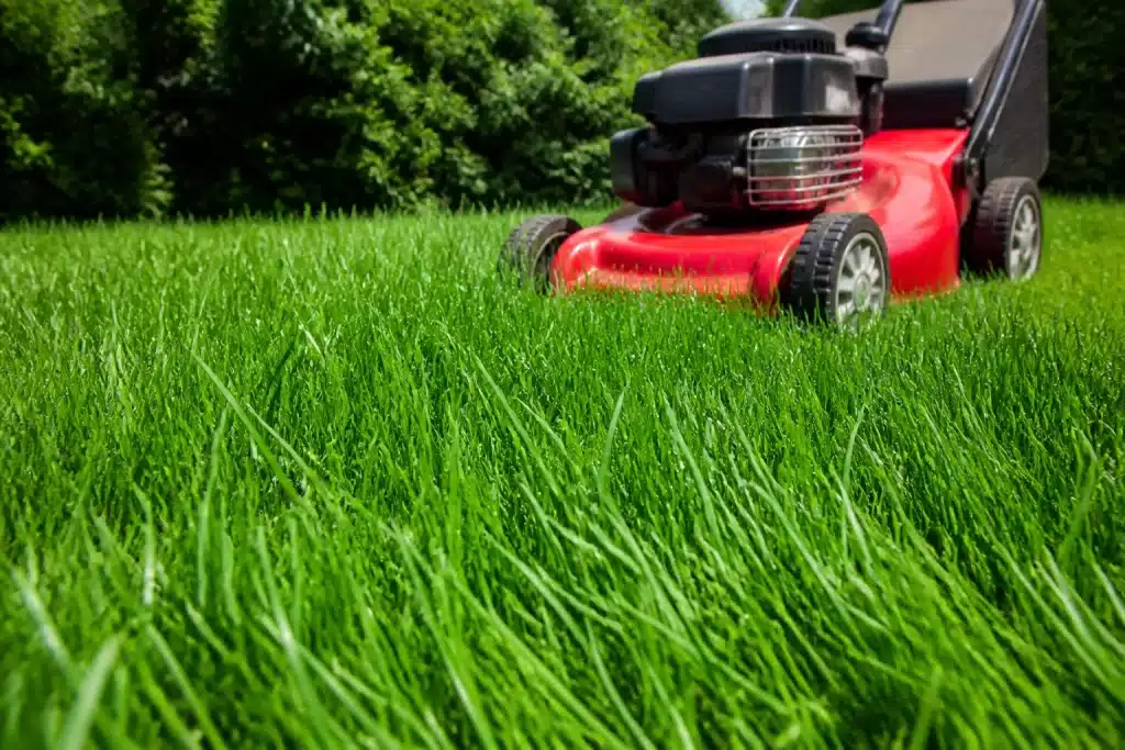 Tondeuse relevée laissant herbe verte haute et dense